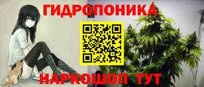 дживик Гагарин