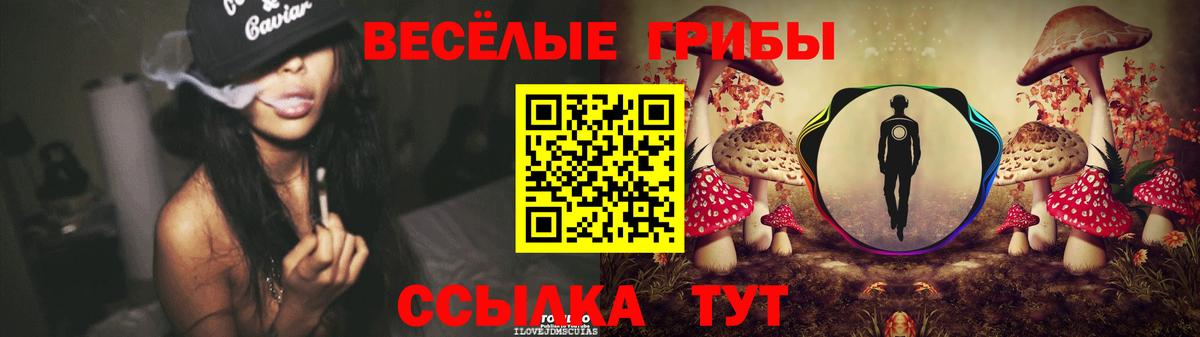 Псилоцибиновые грибы Psilocybine cubensis  Вход с VPN  Долгопрудный  Галлюциногенные грибы мицелий 